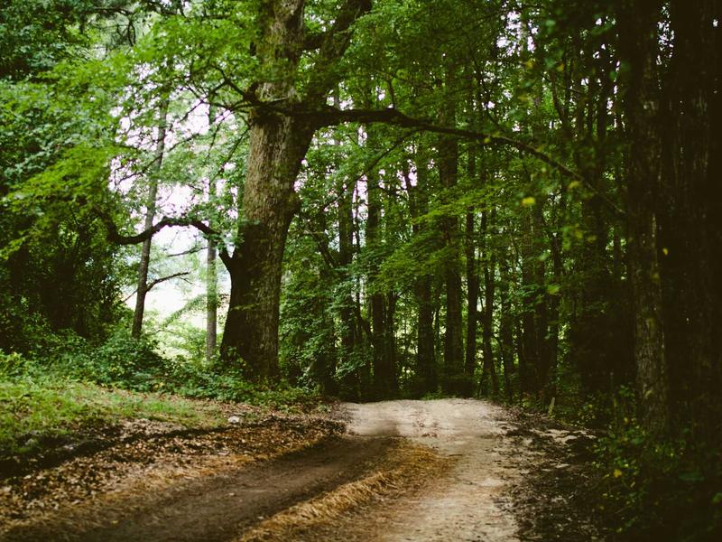 sudoku world championship screenshot 5